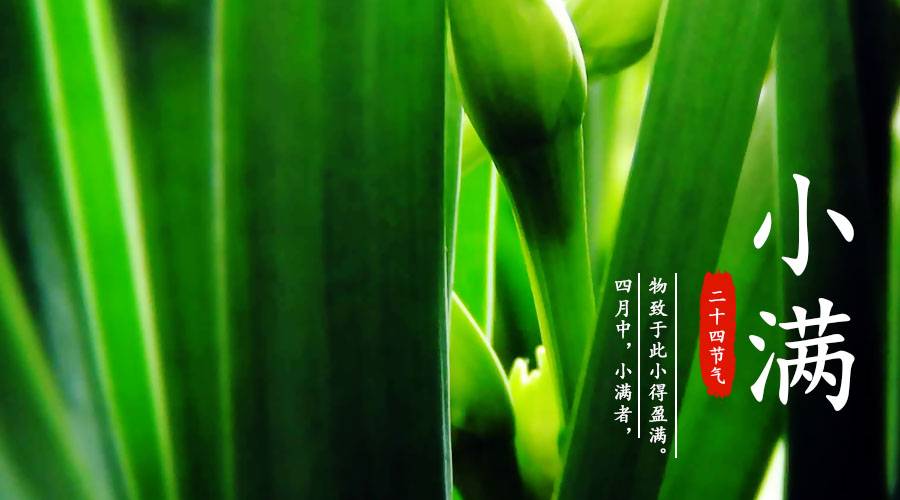 首页| w66集团中国最老牌官方网站