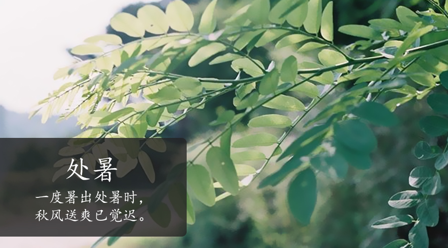 首页| w66集团中国最老牌官方网站