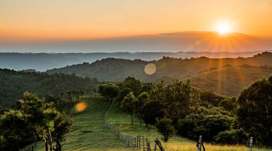 首页| w66集团中国最老牌官方网站