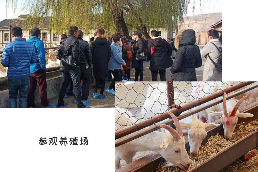 首页| w66集团中国最老牌官方网站