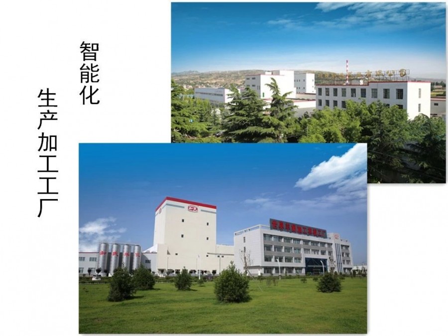 首页| w66集团中国最老牌官方网站