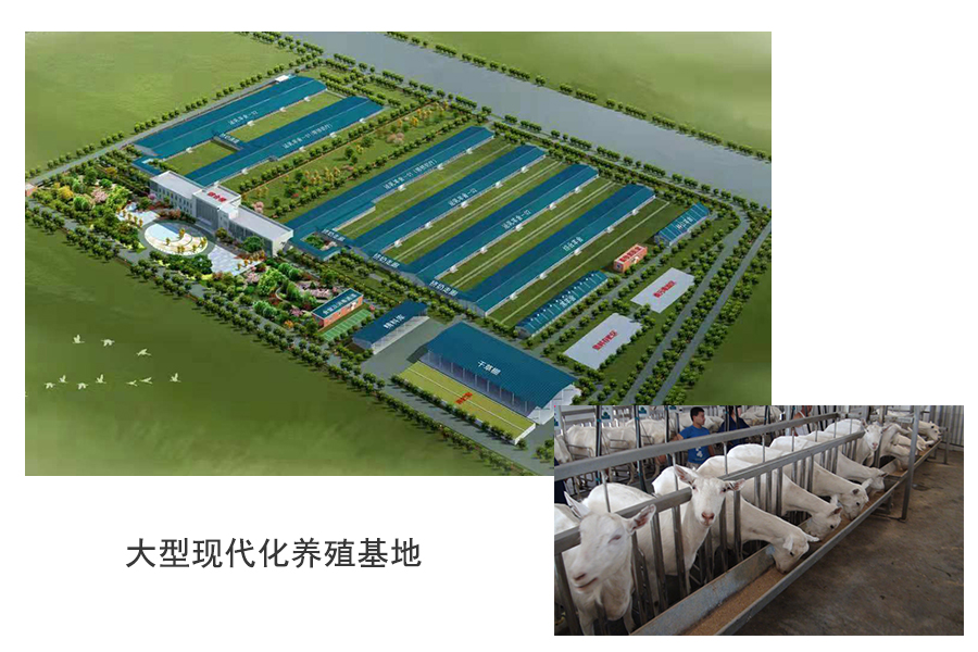 首页| w66集团中国最老牌官方网站