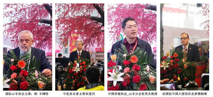 首页| w66集团中国最老牌官方网站