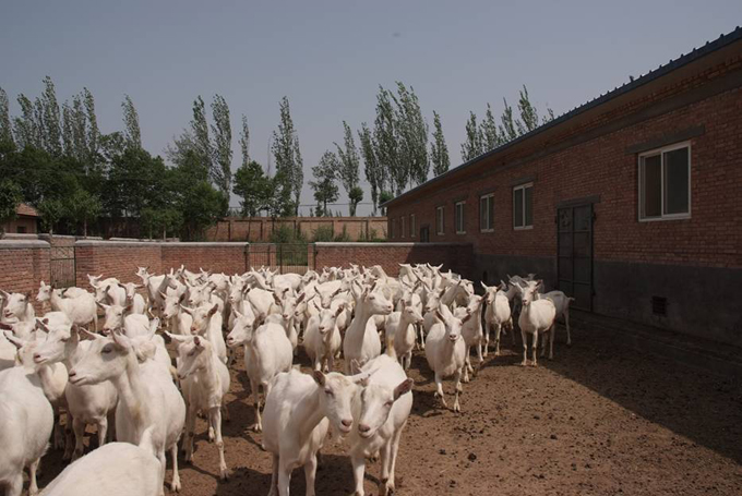 首页| w66集团中国最老牌官方网站