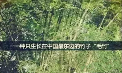 首页| w66集团中国最老牌官方网站