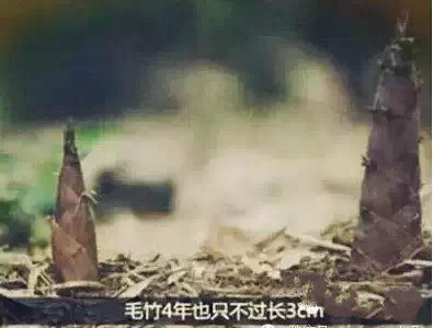 首页| w66集团中国最老牌官方网站